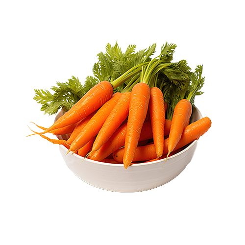 English Carrot
